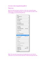 Các menu cơ bản trong photoshop (phần 3) pps