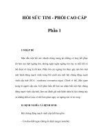 HỒI SỨC TIM - PHỔI CAO CẤP - Phần 1 pptx