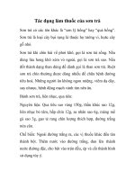 Tác dụng làm thuốc của sơn trà doc