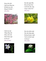 CÂU ĐỐ VỀ HOA, QUẢ.