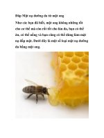 Đăp Mặt nạ dưỡng da từ mật ong potx