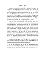 Luận văn tốt nghiệp-cải cách kinh tế của việt nam nhật bản part1 ppt