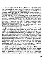 Kỹ Thuật Trồng Cà & Cà Chua - Đường Hồng Dật phần 10 pptx