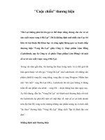 ''''''''Cuộc chiến'''''''' thương hiệu potx