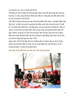 Tổng hợp các văn hóa - lễ hội Việt Nam part 6 pptx