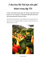 3 chợ hoa Hà Nội bạn nên ghé thăm trong dịp Tết ppt