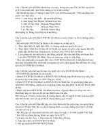 hieu biet ve doi TNTPHCM