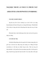 NGỘ ĐỘC THUỐC AN THẦN VÀ THUỐC NGỦ pot