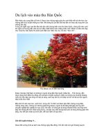 Du lịch vào mùa thu Hàn Quốc potx