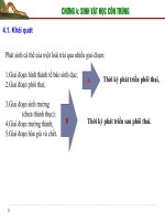 Bài giảng côn trùng học - phần 3 ppt