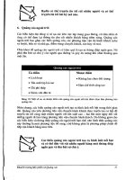 Khuếch trương sản phẩm và quảng cáo - Ths.Nguyễn Quỳnh Chi phần 5 pptx