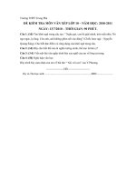 de thi xep lop 10  mon van nam 2010