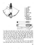 Chuột Gây Hại & Phòng Trừ Bằng Phương Pháp Dân Gian - Vũ Khôi phần 5 ppsx