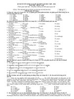 de thi lop 10 de so 3