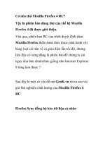 Có nên thử Mozilla Firefox 4 RC? pptx