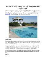 Hồ bơi và năng lượng đặc biệt trong khoa học phong thủy pot