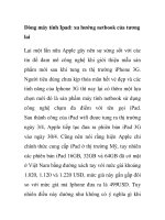 Dòng máy tính Ipad: xu hướng netbook của tương lai pptx