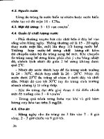 Ngư Nghiệp - Kỹ thuật sản xuất giống và nuôi tôm càng xanh - Lương Đình Trung phần 6 pptx