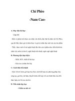 Chí Phèo -Nam Cao potx