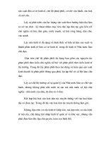 Quy luật phát triển định hướng nền kinh tế trong thời kỳ đầu part6 potx