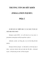 THƯƠNG TỔN DO HÍT KHÓI (INHALATION INJURY) - Phần 2 pptx