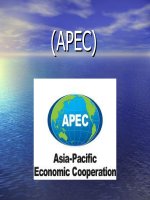 Bài thuyết trình: ASEAN va AFTA docx