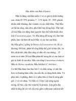 Đặc điểm của Hầu (Oyster) ppsx