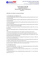 Ngân hàng đề thi: phương pháp số pdf