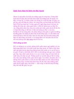 Quần Soóc Mùa Hè Dành cho Mọi Người potx