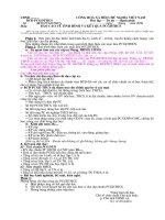 Mẫu báo cáo phổ cập hang năm cua xã (thị trấn)