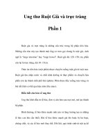 Ung thư Ruột Già và trực tràng - Phần 1 pdf