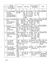 Kỹ Thuật Trồng 1 Số Cây Con Dưới Tán Rừng phần 9 potx