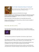 UFO_vật thể ngoài hành tinh