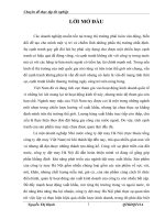 Luận văn tốt nghiệp-khả năng cạnh tranh của công ty dệt may hà nội part1 doc