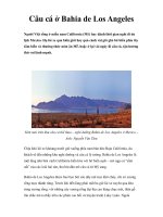 Câu cá ở Bahia de Los Angeles pps