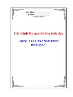 Các bệnh lây qua đường sinh dục (SEXUALLY TRANSMTTED DISEASES) pot