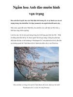 Ngắm hoa Anh đào muôn hình vạn trạng potx