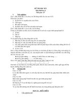 Đề KT Kì 1 Sinh 6