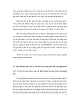 Nhà nước và quá trình công nghiệp hóa part 2 doc