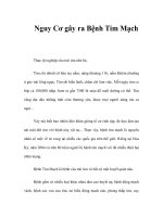 Nguy Cơ gây ra Bệnh Tim Mạch doc