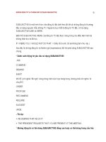 Những động từ và thành ngữ sử dụng Subjunctive