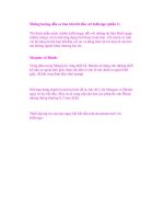 Những hướng dẫn cơ bản khi bắt đầu với InDesign (phần 1) ppsx