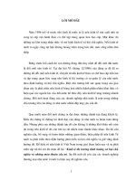 Điều kiện phát triển thuận lợi, tập chung hướng vào sản xuất hàng xuất khẩu KTTT part1 pptx