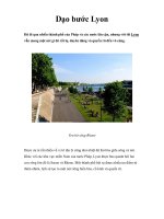 Dạo bước Lyon docx