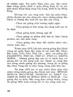 [Nông Nghiệp] Kỹ Thuật Trồng Đậu Nành - Ks.Nguyễn Việt Thái phần 3 doc