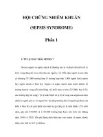 HỘI CHỨNG NHIỄM KHUẨN (SEPSIS SYNDROME) - Phần 1 ppt