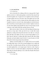 lich su honda Viet Nm