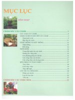 Chăm Sóc Cây Cảnh Trong Nhà - biên dịch Nguyễn Minh Tiến phần 10 pps