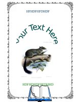 bìa giáo án & bìa sách 16