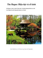 The Hague: Hiện đại và cổ kính T potx